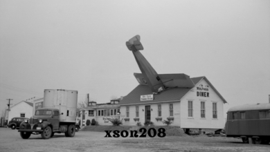 xson208