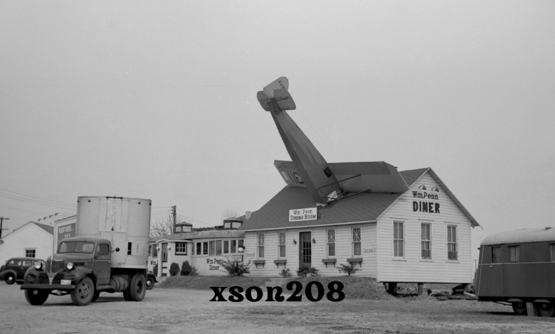 xson208