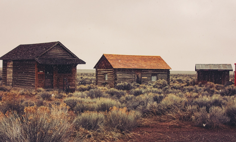 homestead.bluerabbitrx.com